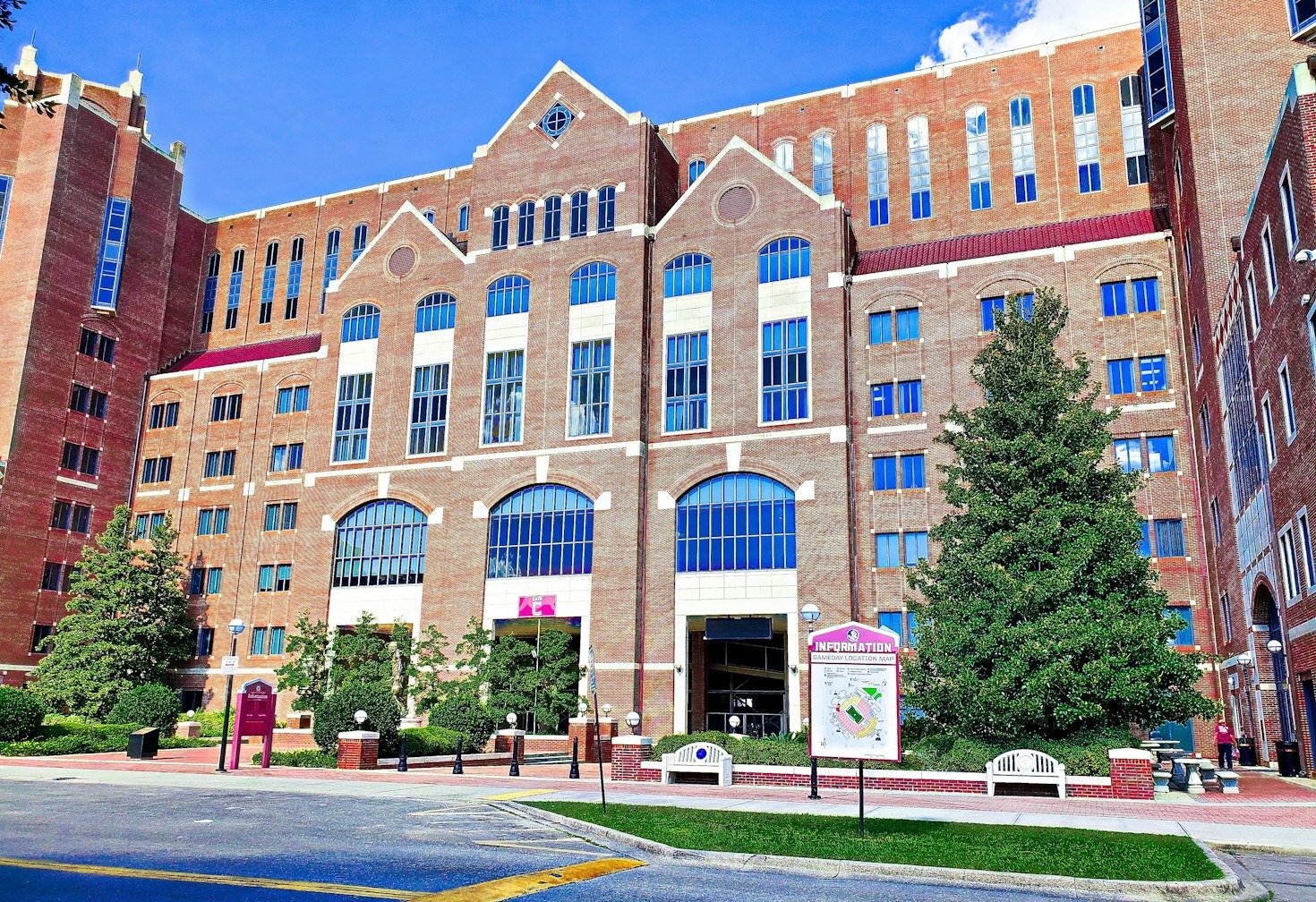 How Florida State Shaped My Academic Journey