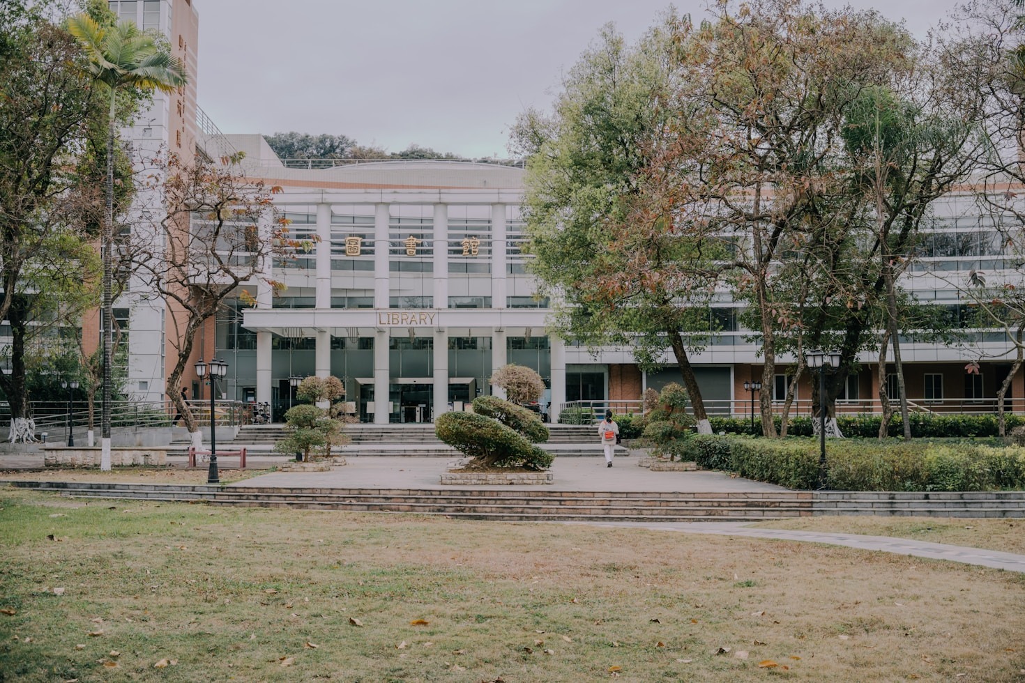 The Importance of Mentorship in College